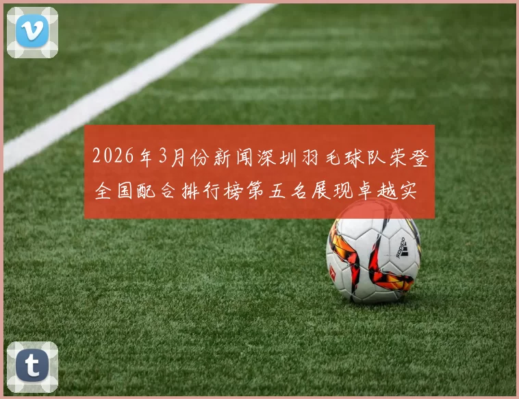 2026年3月份新闻深圳羽毛球队荣登全国配合排行榜第五名展现卓越实力与团队精神